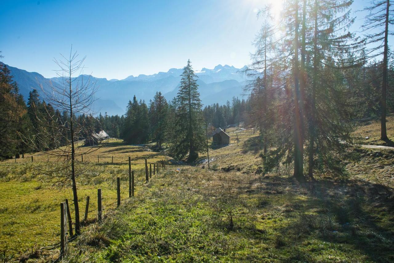 Ferienwohnung Stoablick - Barrierefrei Mit Bergblick Bad Goisern Exterior foto